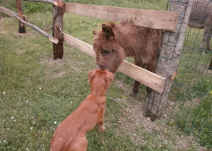 I Poggi Di Grace Alojamento de Acomodação e Pequeno-almoço Fivizzano