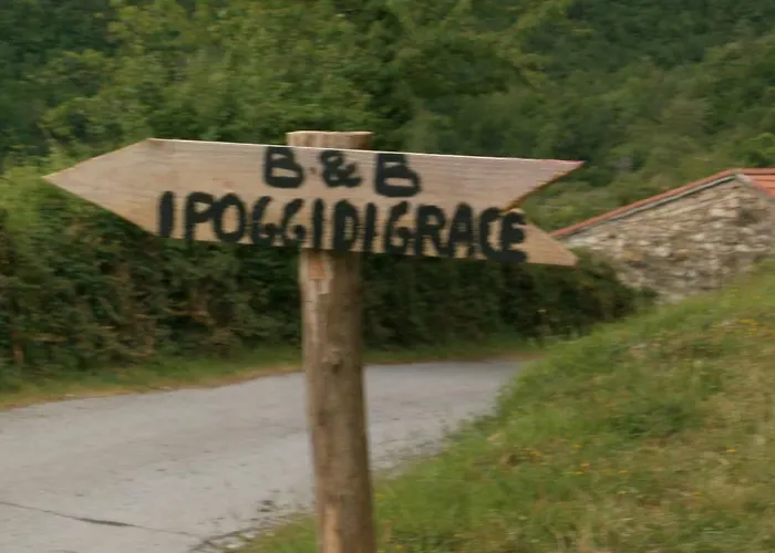 Alojamento de Acomodação e Pequeno-almoço I Poggi Di Grace